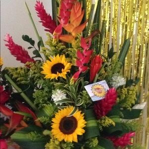 Meet your Posher, Wanda